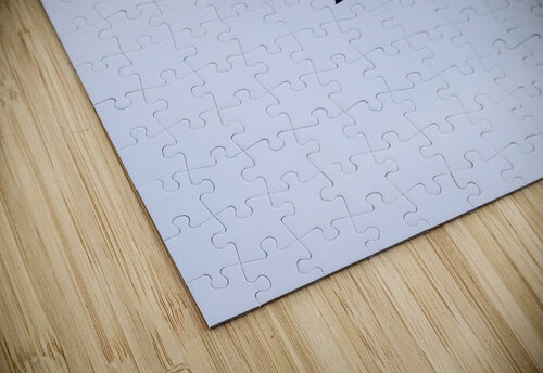 Southern giant petrel flying alongside cruise ship in South Atla Steve Heap puzzle