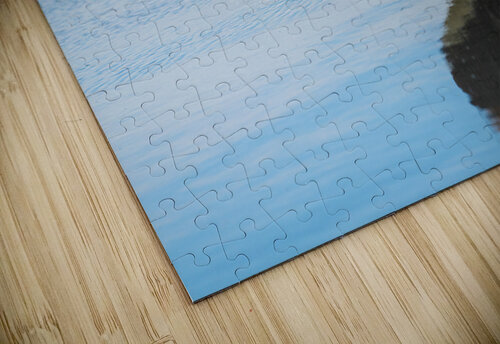 Falkland Steamer duck walking in the surf on Falklands Islands Steve Heap puzzle