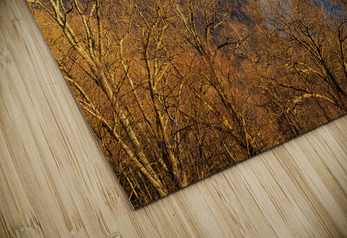 Cheat River Canyon at Coopers Rock on winter afternoon Steve Heap puzzle