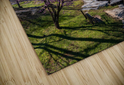 Bench view of Valley Falls on a bright spring morning Steve Heap puzzle
