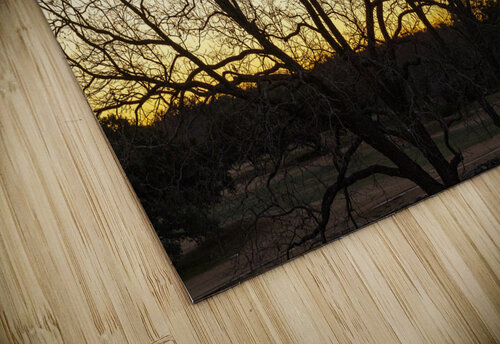 Dramatic sunset over Legacy Hills Park lake with details of tree Steve Heap puzzle