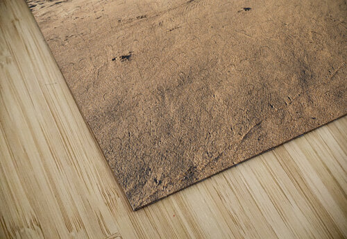 Aloha from Kauai: A driftwood greeting spells out a warm welcome Steve Heap puzzle