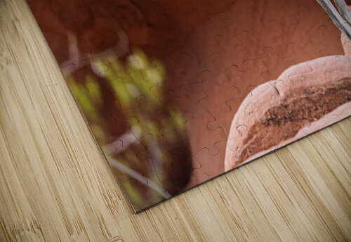 Bighorn sheep lamb grazing among formations in Valley of Fire st Steve Heap puzzle