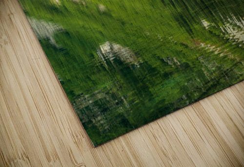 Mirror image reflection of Rainy Lake in North Cascades National Steve Heap puzzle