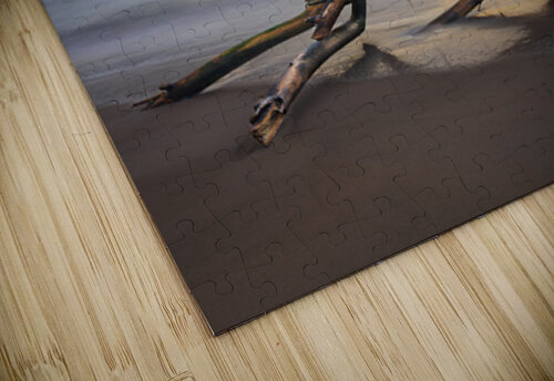 Whisper of the Tide driftwood on Hanalei bay beach at sunrise Steve Heap puzzle