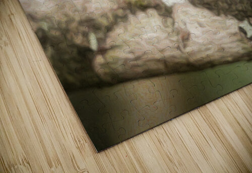 White throated mountaingem hummingbird perched on a twig  in Cos Steve Heap puzzle