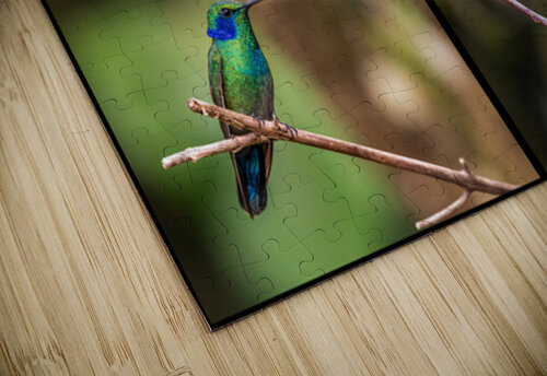 Montage of four humming birds from Costa Rica Steve Heap puzzle