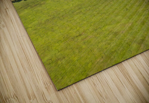 Grass before State Capitol building in Nashville Tennessee Steve Heap puzzle