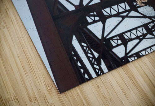 Spring blossoms by Steel girder bridge Morgantown Steve Heap puzzle