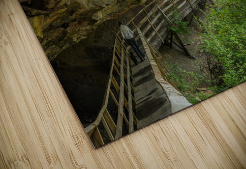 Boardwalk in Audra State Park near Buckhannon in West Virginia Steve Heap puzzle