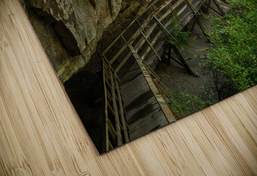Pathway in Audra State Park near Buckhannon in West Virginia Steve Heap puzzle