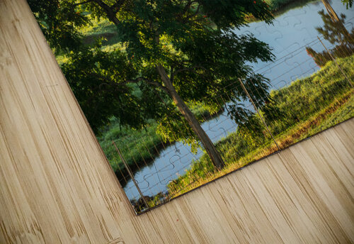 Striking landscape of garden island of Kauai Steve Heap puzzle