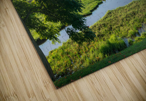 Striking Jurassic landscape on Kauai Steve Heap puzzle