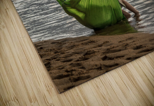 Just Chilling on Kauai Steve Heap puzzle