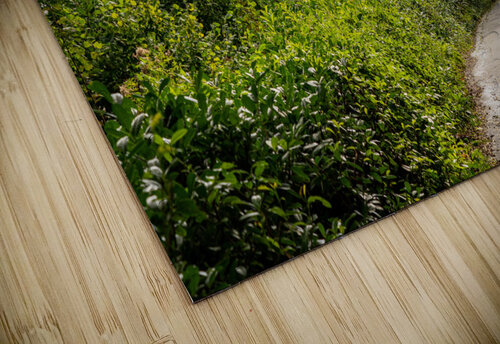 Cotehele Quay on the River Tamar in Devon Steve Heap puzzle