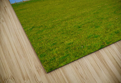 Old church on the Island of Lundy off Devon Steve Heap puzzle