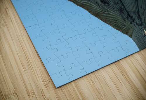 Crested Saguaro in National Park West Steve Heap puzzle