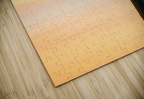 Seagull on a cast iron street lamp at dusk Steve Heap puzzle