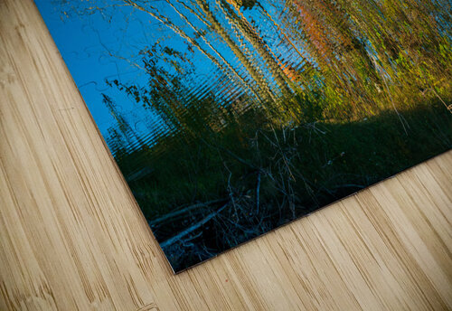 Ferris Wheel ride at abandoned funfair  Steve Heap puzzle
