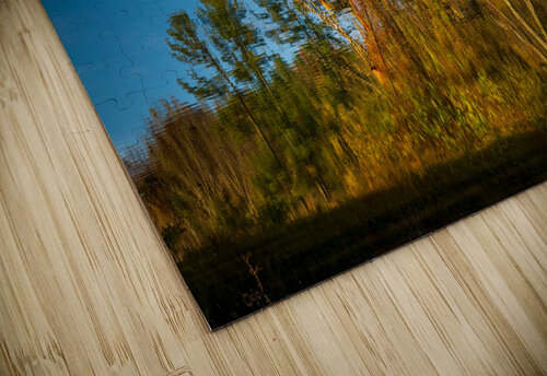 Ferris Wheel ride at abandoned funfair  Steve Heap puzzle