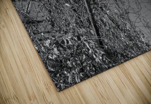 Ferris Wheel ride at abandoned funfair  Steve Heap puzzle