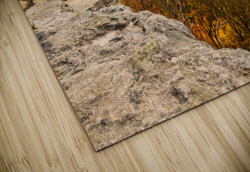 Raven Rock overlooks forest at Coopers Rock Steve Heap puzzle