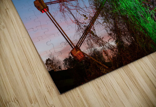 Ferris Wheel ride at abandoned funfair  Steve Heap puzzle