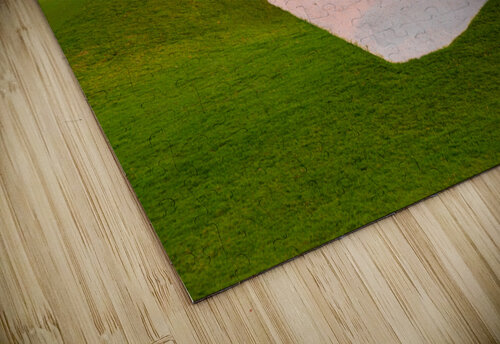 Heart shaped sand bunker in front of golf green Steve Heap puzzle