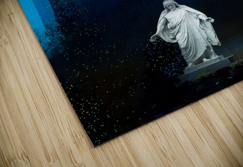 Mormon temple in Washington DC in late winter Steve Heap puzzle