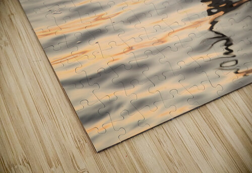 Great white egret in the sea off Tampa in Gulf Steve Heap puzzle