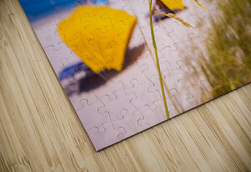 Madiera Beach and sea oats in Florida Steve Heap puzzle