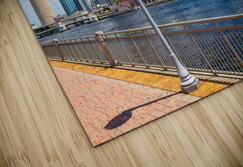 City skyline of Tampa Florida during the day Steve Heap puzzle