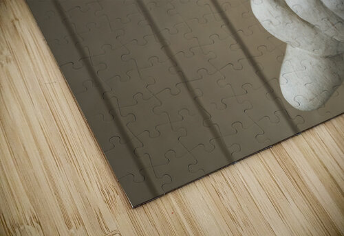 President Lincoln statue with focus on fist Steve Heap puzzle