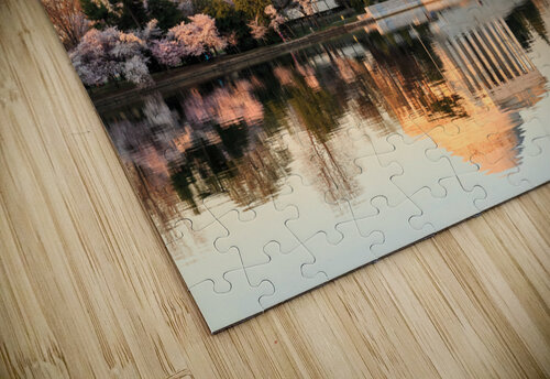 Wide Vista of Beautiful early cherry blossoms Jefferson Memorial Steve Heap puzzle