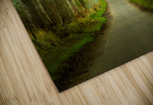 Dark Hedges road through old trees Steve Heap puzzle
