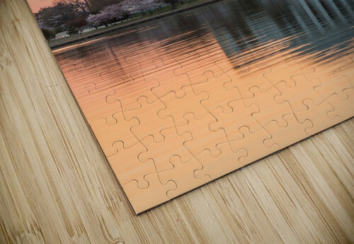 Cherry Blossom and Jefferson Memorial at sunrise Steve Heap puzzle