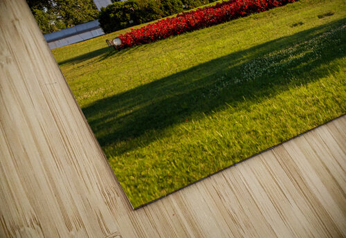 White House Washington DC Steve Heap puzzle