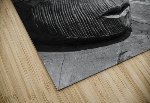 Maori carved head at Whakarewarewa Steve Heap puzzle