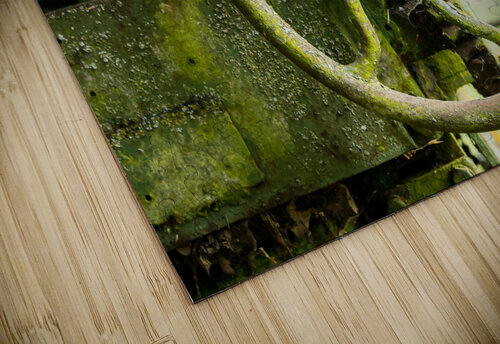 Moss covered farm machinery with handle Steve Heap puzzle