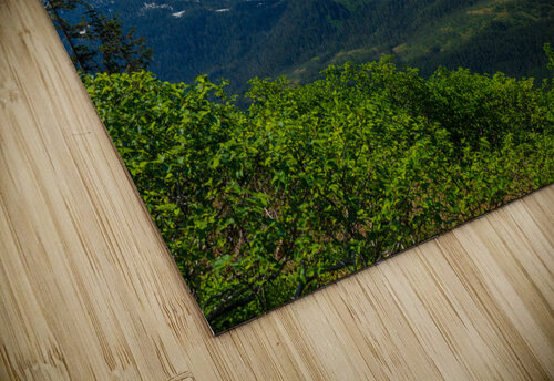 View from Mount Roberts toward Mt Bradley above Juneau Alaska Steve Heap puzzle