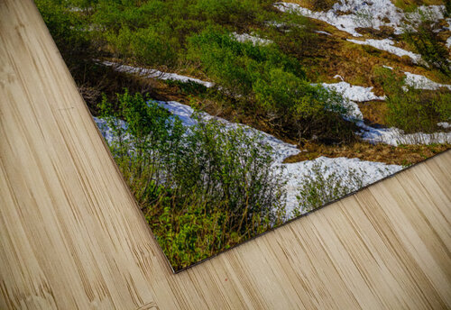 View from Mount Roberts toward Mt Bradley above Juneau Alaska Steve Heap puzzle