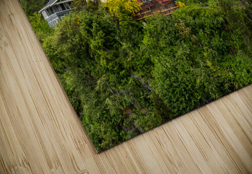 Colorful hillside homes above the town of Ketchikan Alaska Steve Heap puzzle
