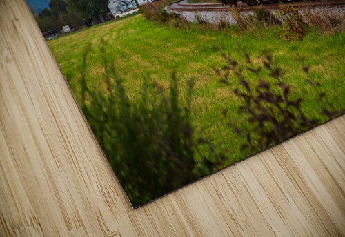 Potomac Eagle train in the evening Steve Heap puzzle