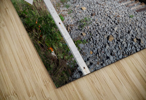 Oncoming train with railroad crossing sign Steve Heap puzzle