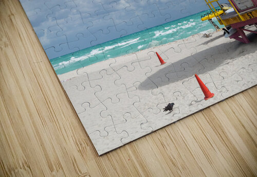 Round pink lifeguard station on Miami beach Steve Heap puzzle