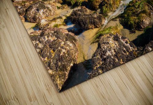 El Matador State Beach California Steve Heap puzzle