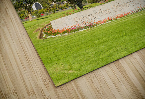 Campus at Pepperdine University Steve Heap puzzle