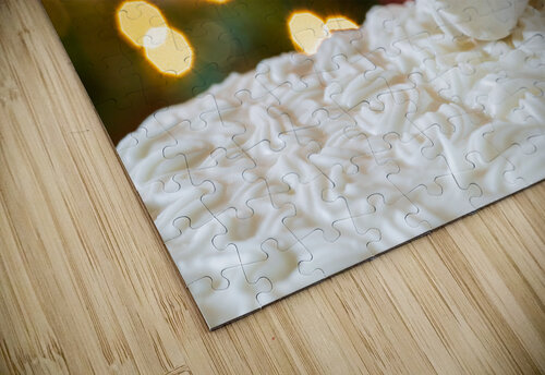 Seal on Christmas cake with tree lights Steve Heap puzzle