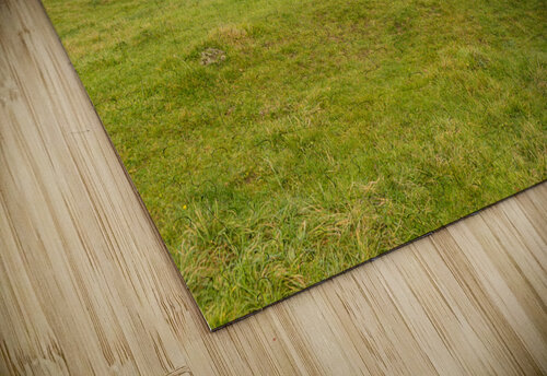 Exterior of St Oswald parish church Widford Steve Heap puzzle