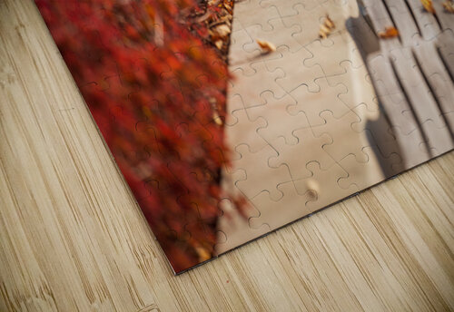 Modern wavy wooden bench in Yards Park Steve Heap puzzle